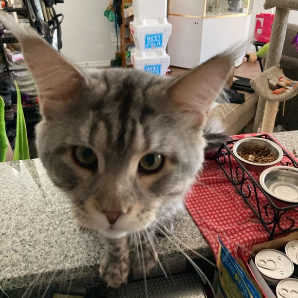 Welcome to Crystal Cove Boutique! - Picture 8 of 12